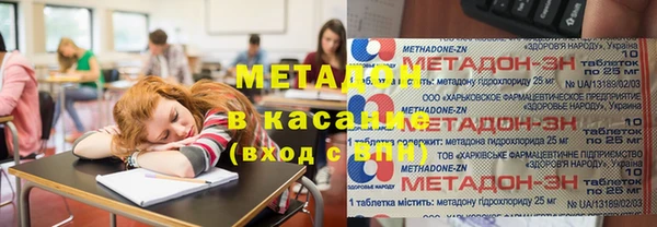 стаф Аркадак