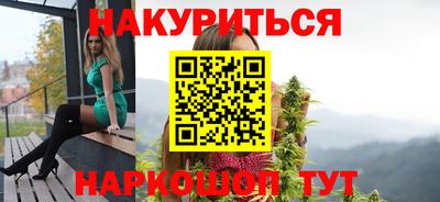 индика Заводоуковск