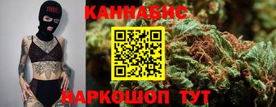 индика Заводоуковск